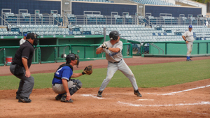 Florida Men's Baseball League